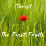Christ The First Fruits