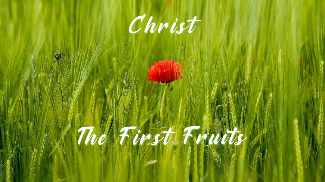 Christ The First Fruits